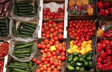 Ăn thực phẩm organic để ngừa ung thư?