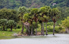 Hồ nước nổi tiếng với món gà đốt ở An Giang