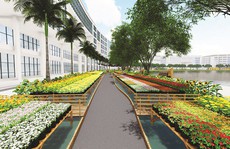 Hội chợ hoa Xuân Phú Mỹ Hưng 2019: Hoa về trên phố thị