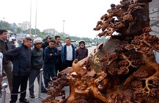 “Choáng” với bức tượng Phật Di Lặc bằng gỗ hương giá 1,2 tỉ đồng