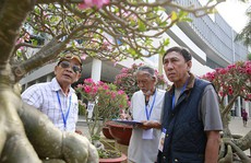 Cuộc thi 'Hoa Cảnh' - Tôn vinh nét đẹp đặc sắc của các loài hoa kiểng Việt Nam