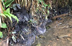 Nước sạch ở Hà Nội nghi nhiễm dầu