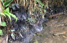 Cận cảnh dòng suối đầu nguồn nhà máy nước sông Đà dính đen dầu thải