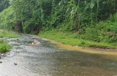 Nước sạch Hà Nội có mùi lạ: Phát hiện bất ngờ từ đầu nguồn gần nhà máy nước Sông Đà