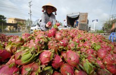 Không để doanh nghiệp miền Tây tụt hậu