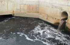 1 DN thủy sản ở Cà Mau bị phạt 360 triệu đồng do xả thải vượt quy định