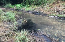 Vụ đổ dầu thải xuống nguồn nước sông Đà: Phải cấp bách “siết” lại vấn đề an ninh nguồn nước