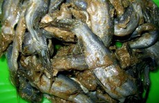 Mắm bò hóc nặng mùi nhưng rất “đưa cơm” của người Khmer Nam bộ