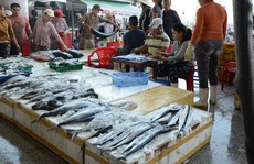 NỖ LỰC GỠ 'THẺ VÀNG' THỦY SẢN (*): Bước chuyển mô hình nghề cá có trách nhiệm