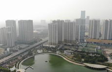 'Cơn mưa vàng' trút xuống, Hà Nội đạt ngưỡng chất lượng không khí trong lành