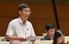 Đại biểu Quốc hội nêu lý do Việt Nam chưa 'hóa rồng, hóa hổ'