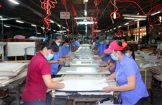 Đồng Nai xuất khẩu lao động còn hạn chế