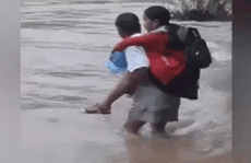 [VIDEO] Thót tim cảnh cha cõng con qua dòng nước xiết đến trường