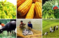Ngân hàng đang bỏ lỡ cho vay theo chuỗi cung ứng?