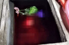 Vụ án rúng động Thái Bình: Vũ Đức Bộ sát hại mẹ vợ, đẩy thi thể xuống bể nước phi tang