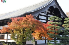 Tới ngôi chùa ngắm lá đỏ đẹp nhất Kyoto