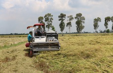 Nhà nông vươn lên làm giàu nhờ Quyết định 68