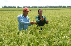 Hành động mới cho nông nghiệp, nông dân