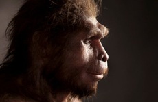 Phát hiện thêm loài người khác tồn tại song song chúng ta suốt 200.000 năm