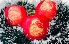 Nửa triệu đồng trái táo in hình ông già Noel