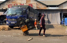 Công nhân bươn chải cuối năm