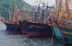Điều tra tàu vỏ thép bị chìm hàng loạt
