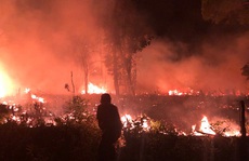 Làm rõ vụ cháy rừng trong đêm ở Phú Quốc