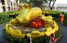 Ngắm dàn linh vật heo mừng Tết Kỷ Hợi tại TP HCM