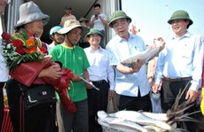 Đầu năm ra biển, ngư dân Quảng Trị trúng đàn cá bè gần 140 tấn