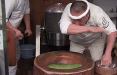 Yomogi mochi - món ăn đường phố ai tới Nhật nên thử