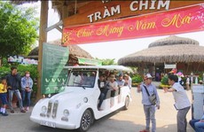 Du khách ùn ùn kéo đến Tràm Chim tham quan, nghỉ dưỡng trong dịp Tết