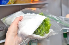 Không nên rửa rau, quả trước khi cho vào tủ lạnh?