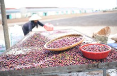 Phải có cà phê đặc sản!