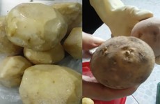 Sự thật việc trường mầm non bị 'tố' cho trẻ ăn củ sắn mốc, khoai tây lên mầm