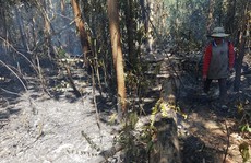 200 người đang chữa cháy rừng ở Gia Lai