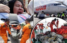Hé lộ nguyên nhân khiến máy bay Boeing 737 MAX gặp nạn