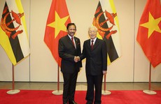 Việt Nam - Brunei thiết lập quan hệ đối tác toàn diện