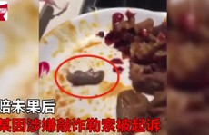 Thả chuột chết vào nồi lẩu, đòi nhà hàng bồi thường 743.000 USD