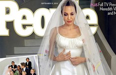 Giá sốc với những bức ảnh gia đình Angelina Jolie và Brad Pitt