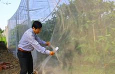 HẠN MẶN KHỐC LIỆT ÁM ẢNH MIỀN TÂY (*): Lựa chọn mô hình thích ứng
