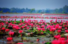 Tây Ninh - vùng đất cuốn hút từ vẻ đẹp bình dị giữa đời thường