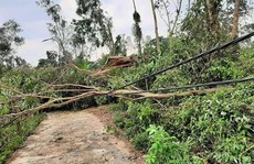 Lốc xoáy kinh hoàng gây thiệt hại nặng ở Quảng Nam