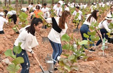 FLC: trồng 10.000 cây xanh tại Lễ phát động chiến dịch Go Green 2019