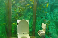 Nhà vệ sinh 270.000 USD được thiết kế như thủy cung
