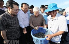 Hình ảnh Tổng Bí thư, Chủ tịch nước Nguyễn Phú Trọng làm việc ở Kiên Giang