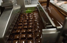 Ghé thăm nhà máy sản xuất chocolate tươi nổi tiếng ở Mỹ