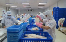 Cá tra Việt Nam đón tin vui từ Mỹ