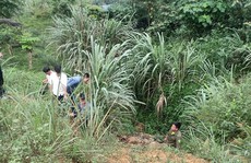 Tá hỏa thấy người đàn ông chết trong cống thoát nước