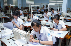 Những “miền đất hứa” của lao động Việt