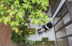 Nhà tối giản nhưng đầy đủ ánh sáng và cây xanh